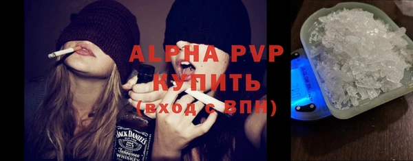 spice Верея