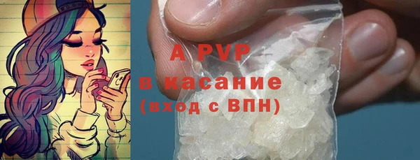 spice Верея