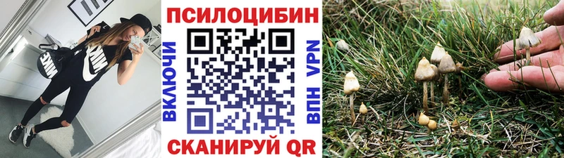 Галлюциногенные грибы мицелий  Кедровый 